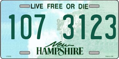 NH license plate 1073123