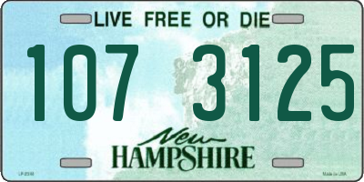 NH license plate 1073125