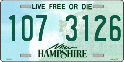 NH license plate 1073126