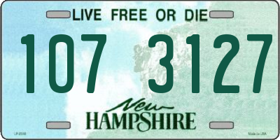 NH license plate 1073127