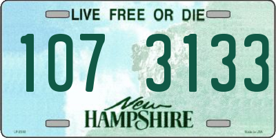 NH license plate 1073133