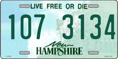 NH license plate 1073134