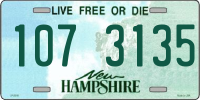 NH license plate 1073135