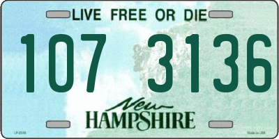 NH license plate 1073136