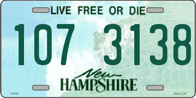 NH license plate 1073138