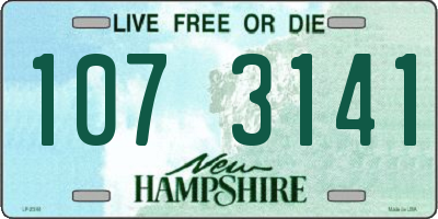 NH license plate 1073141