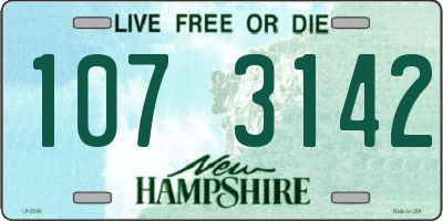 NH license plate 1073142