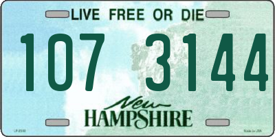 NH license plate 1073144