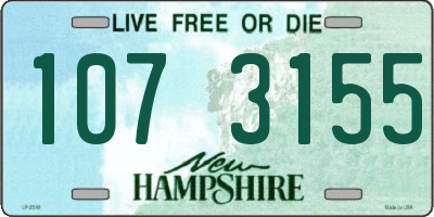 NH license plate 1073155