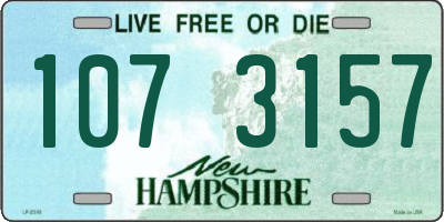 NH license plate 1073157