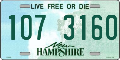 NH license plate 1073160