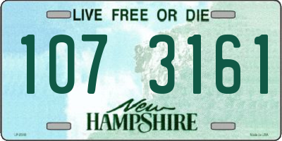 NH license plate 1073161
