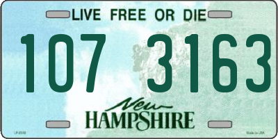 NH license plate 1073163