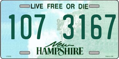 NH license plate 1073167