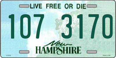 NH license plate 1073170