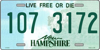 NH license plate 1073172