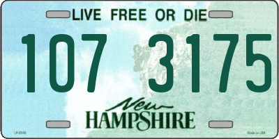 NH license plate 1073175