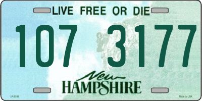NH license plate 1073177