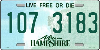 NH license plate 1073183
