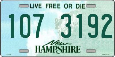 NH license plate 1073192