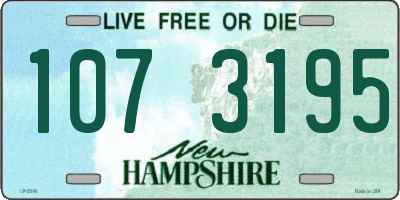 NH license plate 1073195