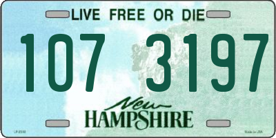 NH license plate 1073197