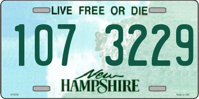 NH license plate 1073229