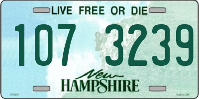 NH license plate 1073239