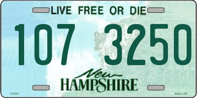 NH license plate 1073250