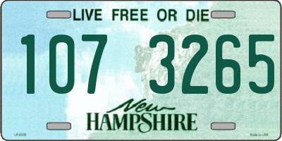 NH license plate 1073265