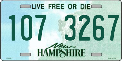 NH license plate 1073267