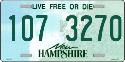 NH license plate 1073270