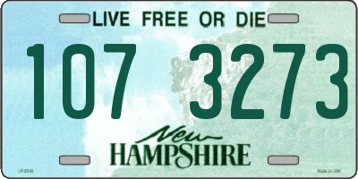 NH license plate 1073273