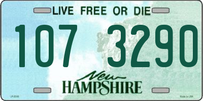 NH license plate 1073290