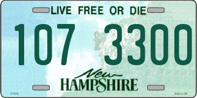 NH license plate 1073300