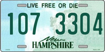 NH license plate 1073304