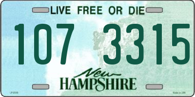 NH license plate 1073315