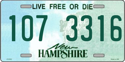 NH license plate 1073316