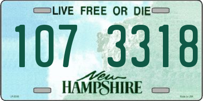 NH license plate 1073318