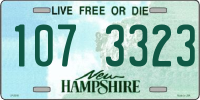 NH license plate 1073323