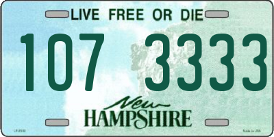 NH license plate 1073333