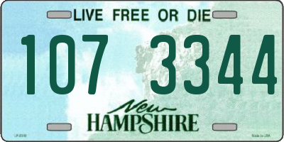 NH license plate 1073344