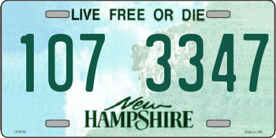 NH license plate 1073347