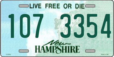 NH license plate 1073354