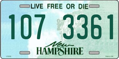 NH license plate 1073361