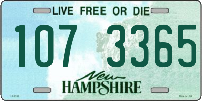 NH license plate 1073365