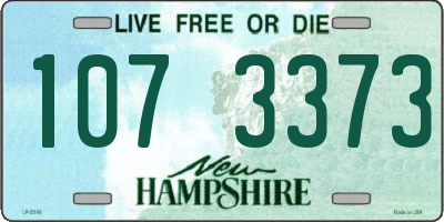 NH license plate 1073373