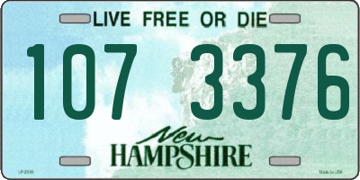 NH license plate 1073376