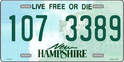NH license plate 1073389