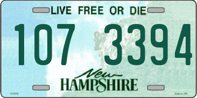 NH license plate 1073394